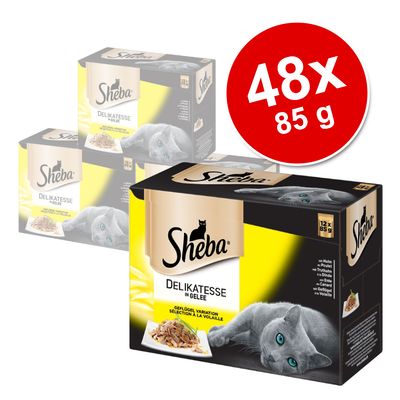 Megapakiet Sheba Delicato, 48 x 85 g