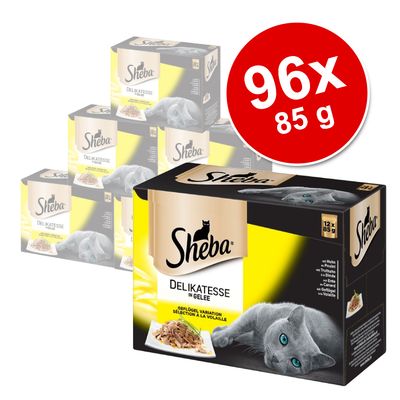 Megapakiet Sheba Delicato, 96 x 85 g