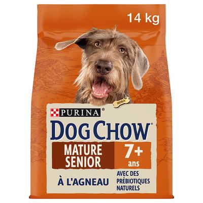 Purina Dog Chow Senior, jagnięcina