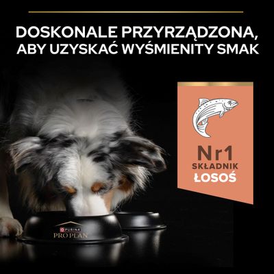 PURINA PRO PLAN Large Athletic Adult Sensitive Skin, łosoś