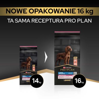 PURINA PRO PLAN Large Athletic Adult Sensitive Skin, łosoś