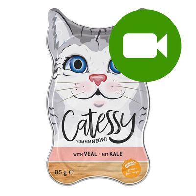 Catessy Delikatne Paszteciki z cielęciną