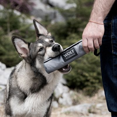 Wolf of Wilderness dummy do treningu, z uchwytem