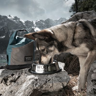 Wolf of Wilderness worek na suchą karmę