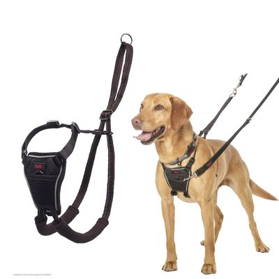 Halti Harness No Pull szelki treningowe