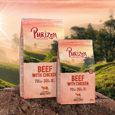 Purizon Adult, wołowina i kurczak – bez zbóż
