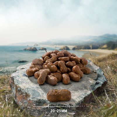 Purizon Large Adult, kurczak i ryba – bez zbóż