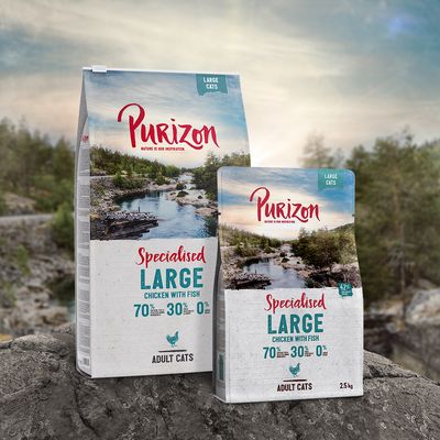 Purizon Large Adult, kurczak i ryba – bez zbóż