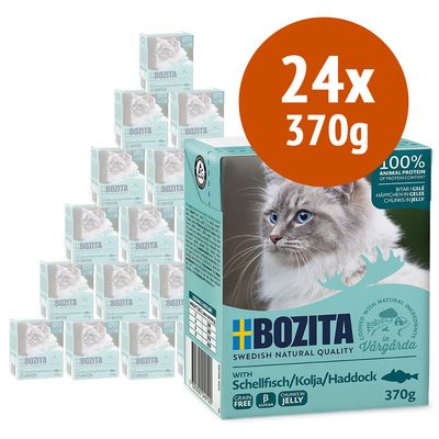 Megapakiet Bozita Tetra w sosie, 24 x 370 g