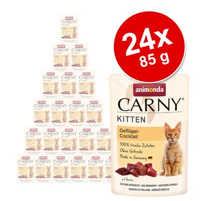 Megapakiet animonda Carny Kitten, 24 x 85 g