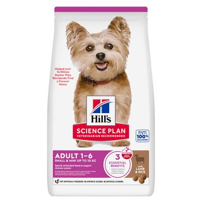 Hill's Science Plan Adult 1–6 Small & Mini, jagnięcina z ryżem