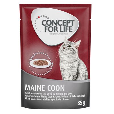 Concept for Life Maine Coon Adult, ragout