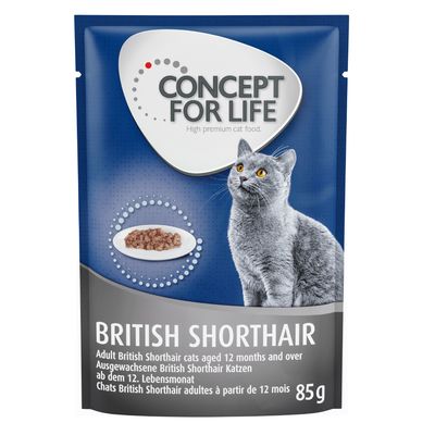 Concept for Life British Shorthair Adult, ragout