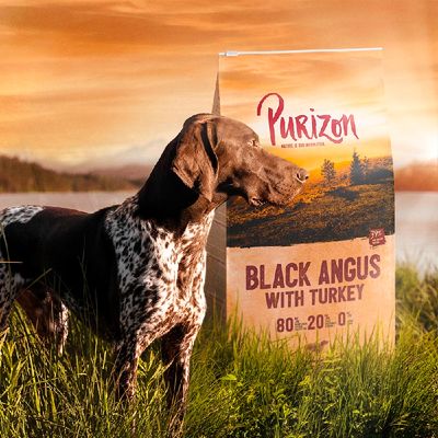 Purizon Adult, wołowina Black-Angus i indyk, bez zbóż