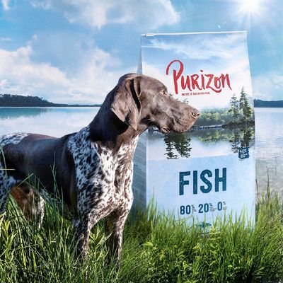 Purizon Adult, ryba, bez zbóż