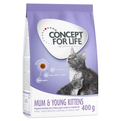 Concept for Life Mum & Young Kittens