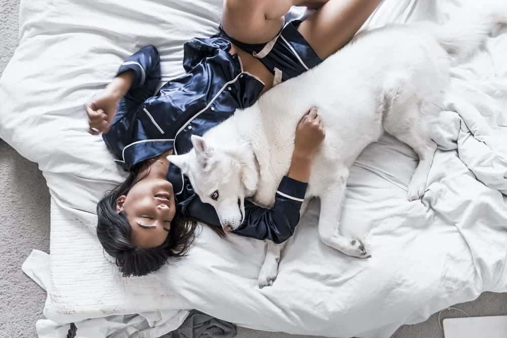spanie z psem